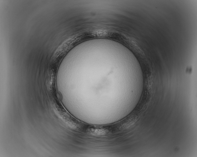 X0000115020645200911091443