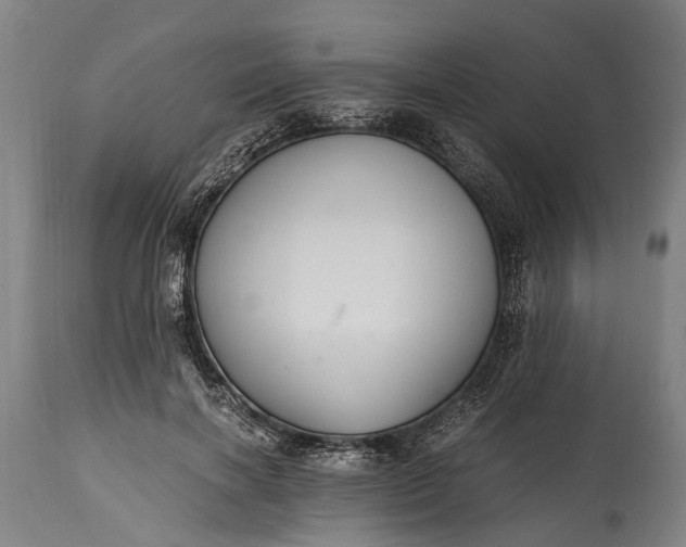 X0000115020646200911091443