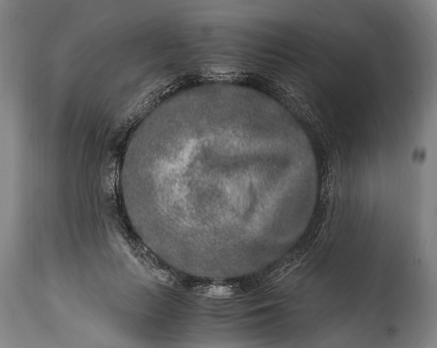 X0000115020647200911091443