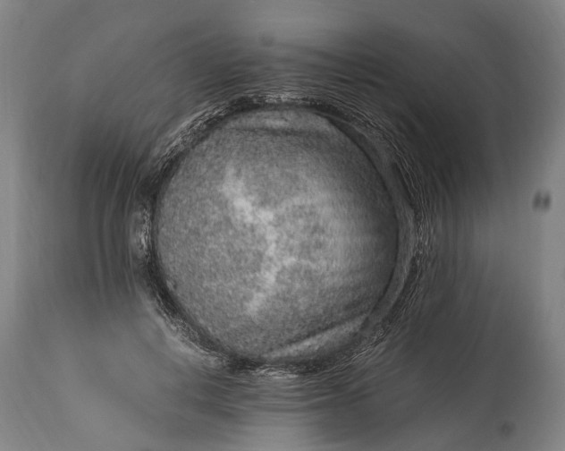 X0000115020648200911091443