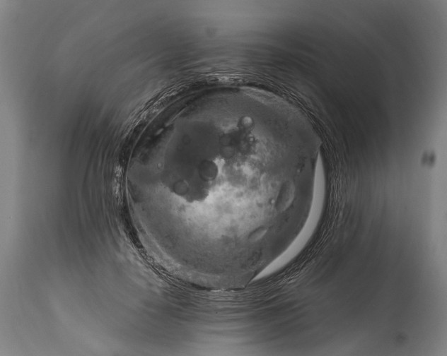 X0000115020650200911091443