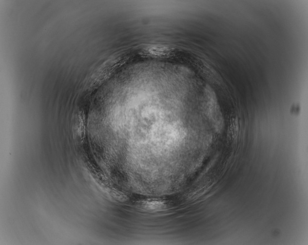X0000115020651200911091443