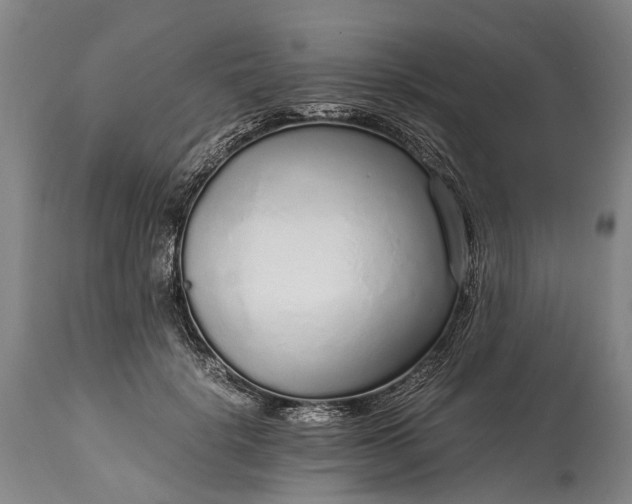 X0000115020652200911091443