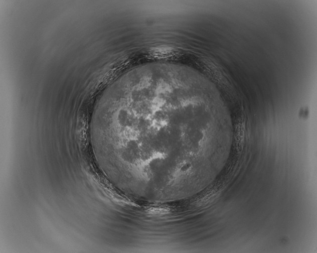 X0000115020653200911091443