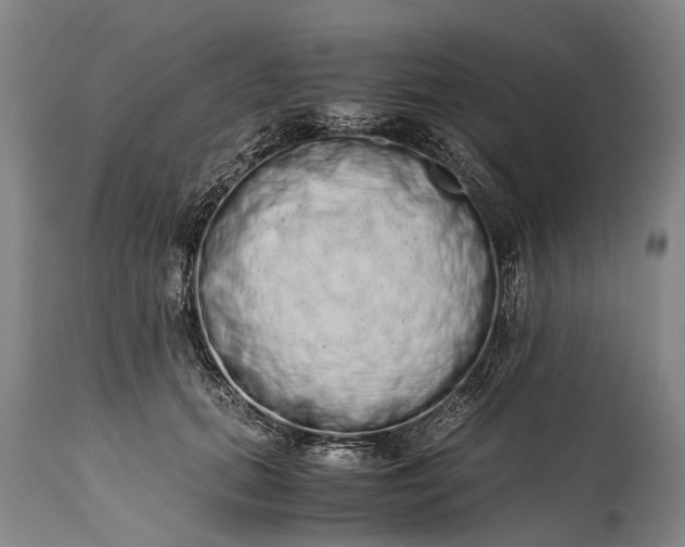X0000115020655200911091443