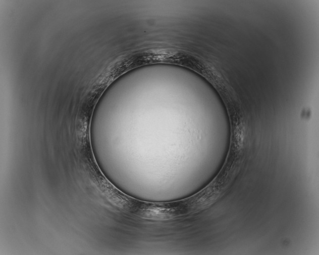 X0000115020657200911091443
