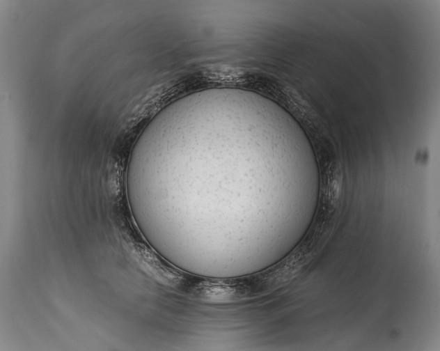 X0000115020658200911091443