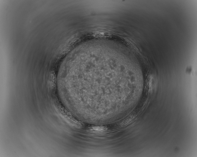 X0000115020659200911091443