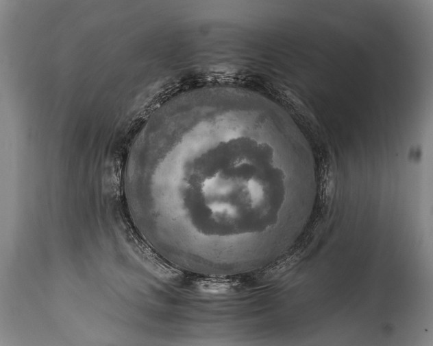 X0000115020661200911091444