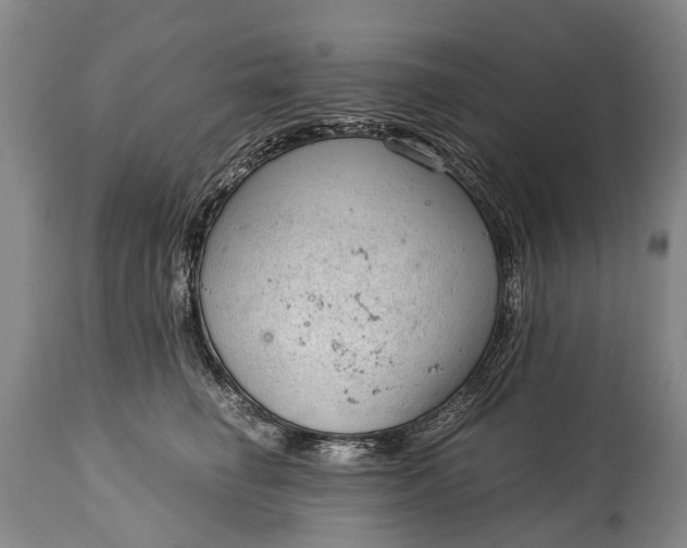 X0000115020662200911091444