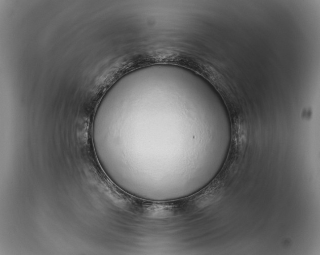 X0000115020664200911091444