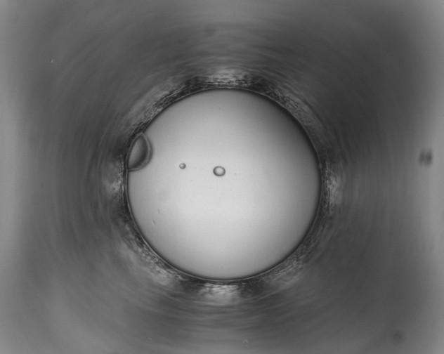 X0000115020665200911091444
