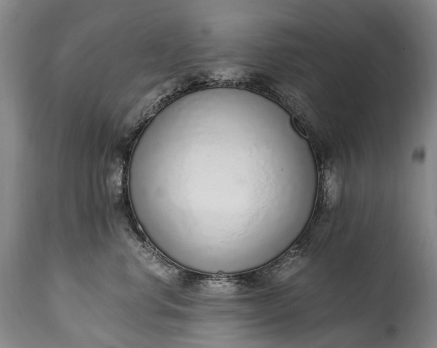 X0000115020668200911091444