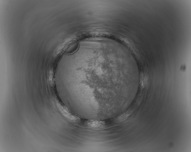 X0000115020670200911091444