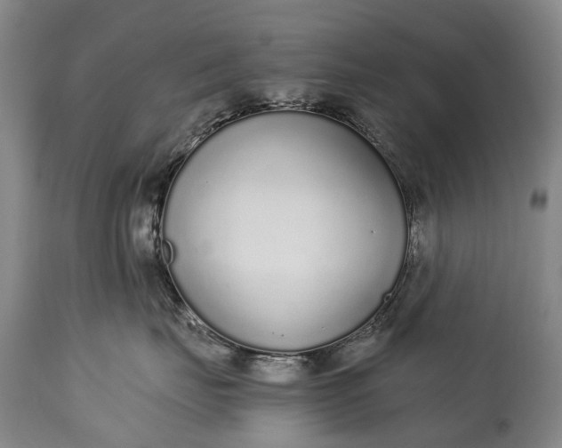 X0000115020671200911091444