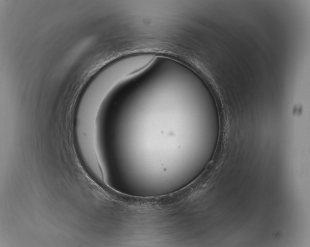 X0000115020673200911091443