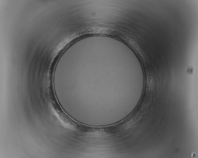 X0000115020674200911091443