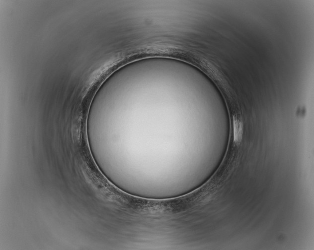 X0000115020675200911091443