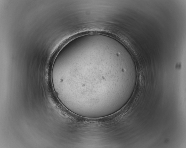 X0000115020676200911091443