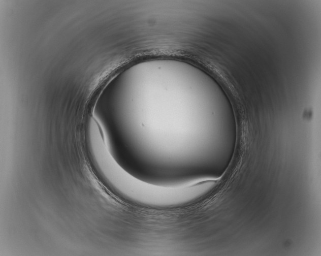 X0000115020677200911091443