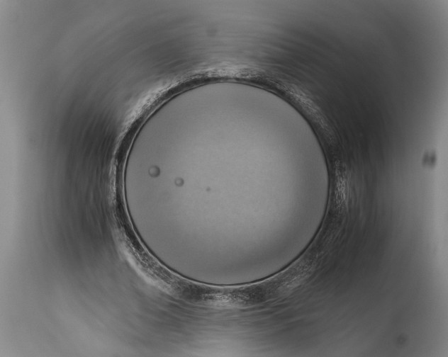 X0000115020678200911091443