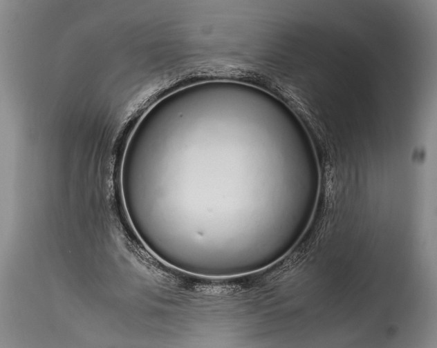 X0000115020679200911091443