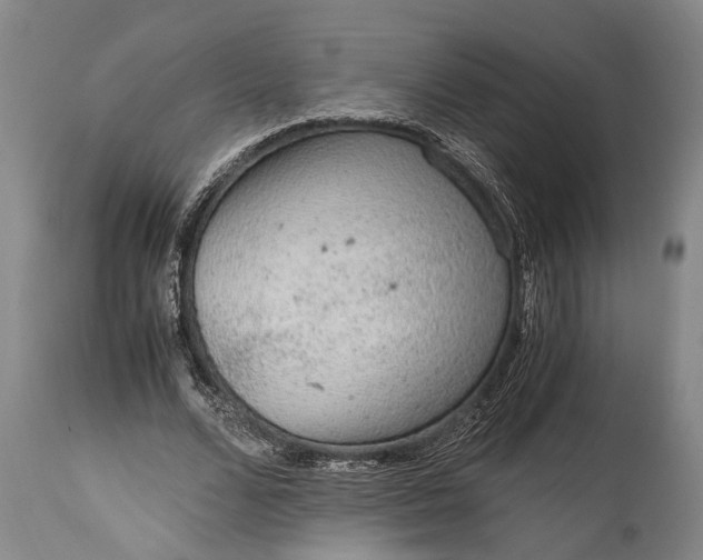X0000115020680200911091443
