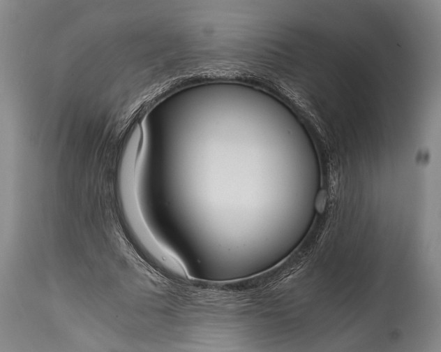 X0000115020681200911091443