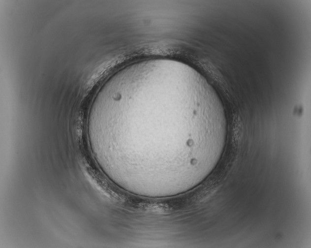 X0000115020683200911091443