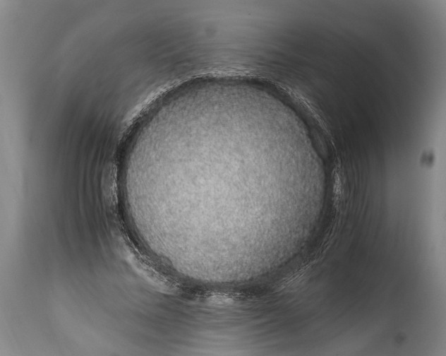 X0000115020684200911091443