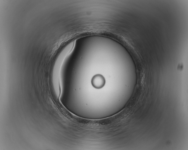 X0000115020685200911091443