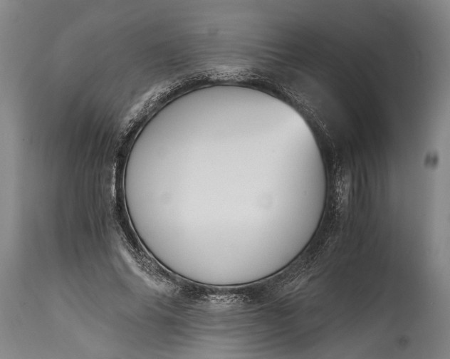 X0000115020686200911091443