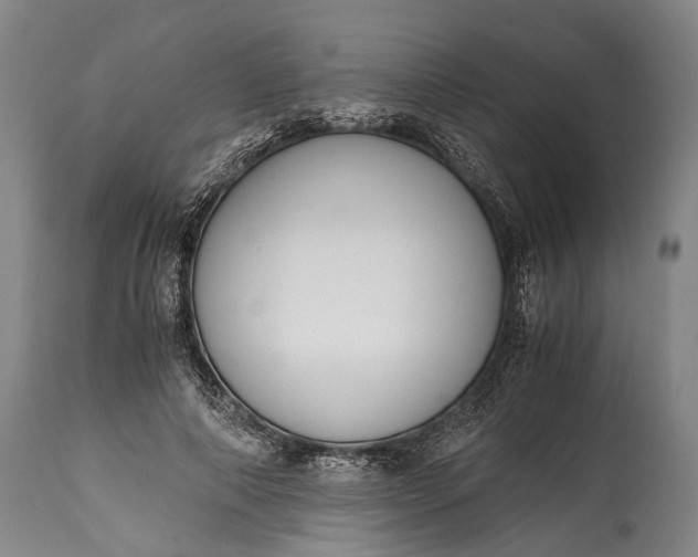X0000115020690200911091443