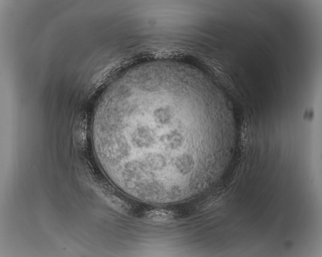 X0000115020691200911091443