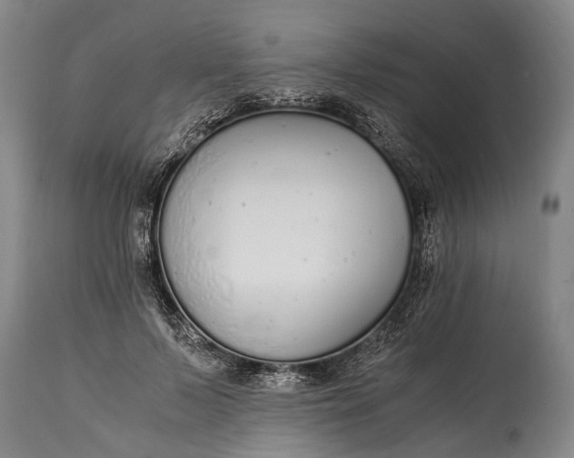 X0000115020695200911091443