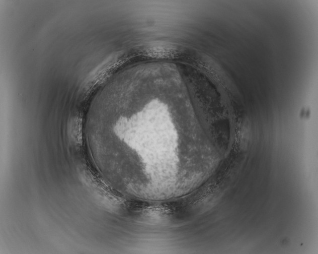 X0000115020696200911091443