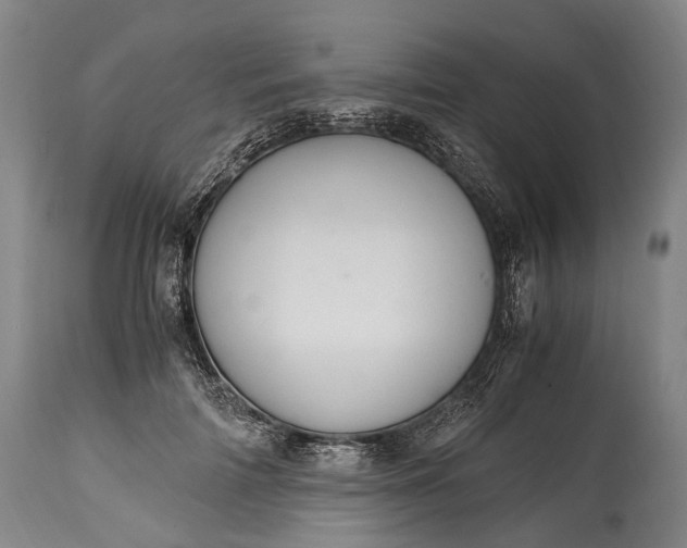 X0000115020698200911091443
