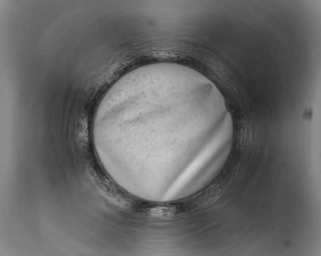 X0000115020700200911091443