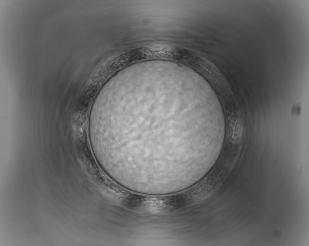 X0000115020701200911091443