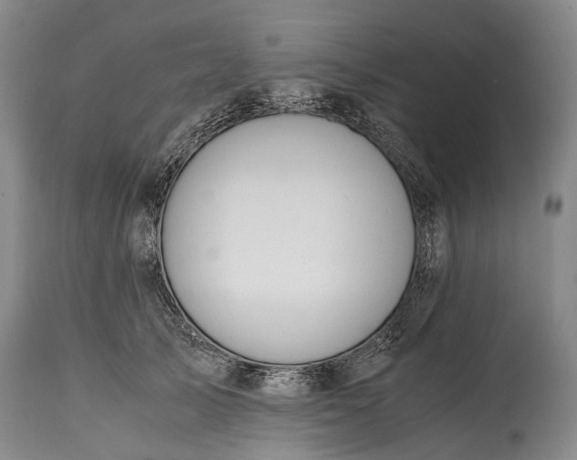 X0000115020705200911091443