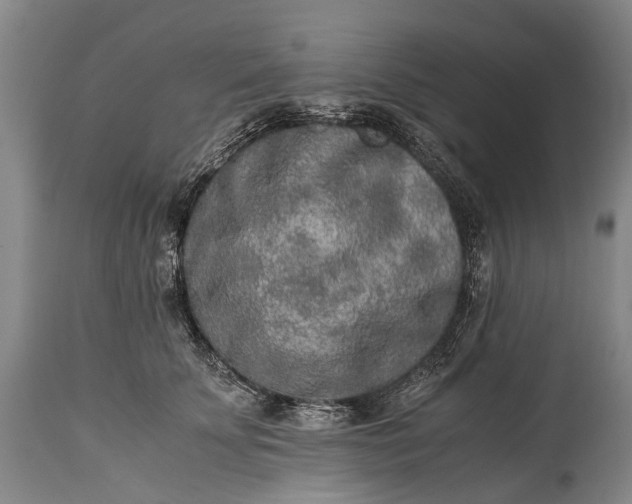 X0000115020707200911091443