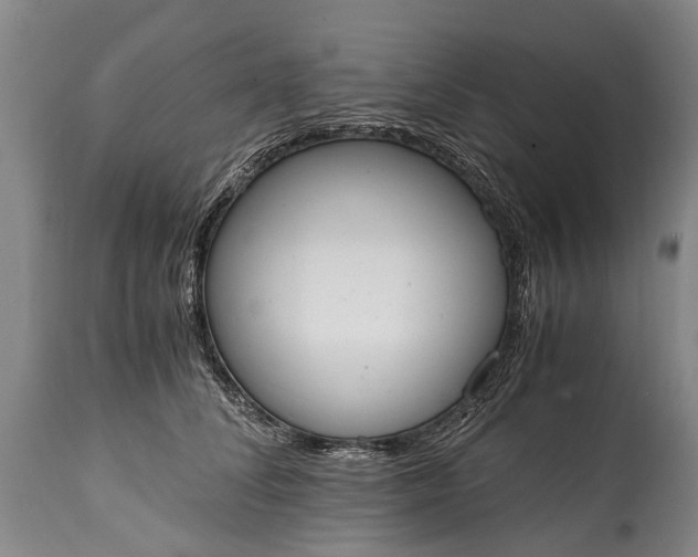 X0000115020708200911091443