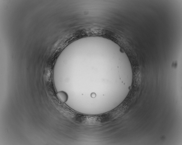 X0000115020709200911091443