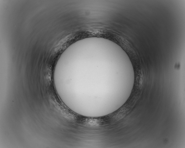 X0000115020710200911091442