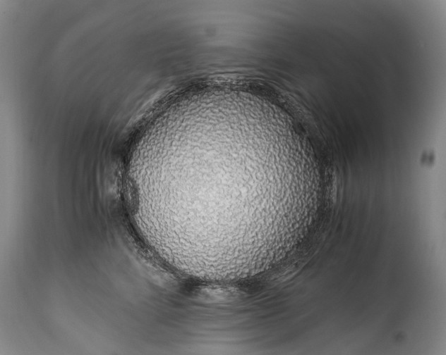 X0000115020712200911091442