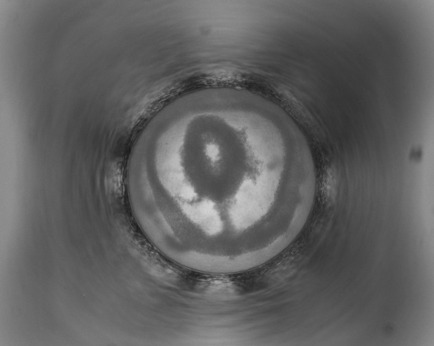 X0000115020715200911091442