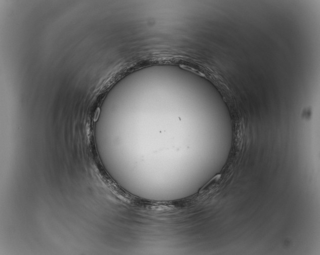 X0000115020716200911091442