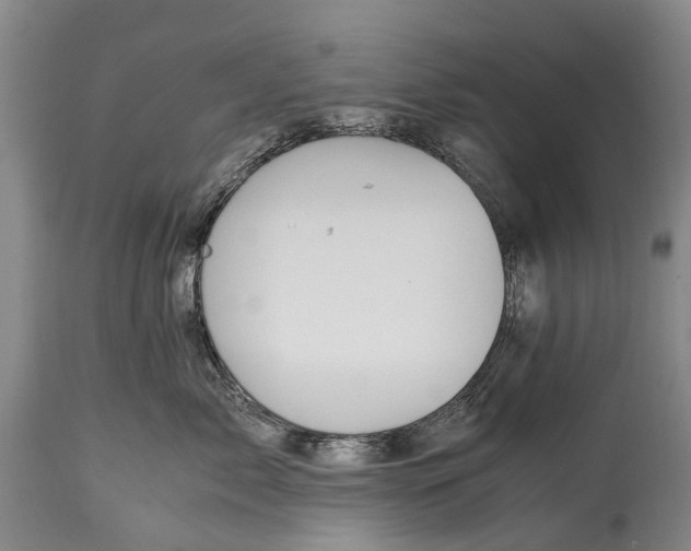 X0000115020717200911091442
