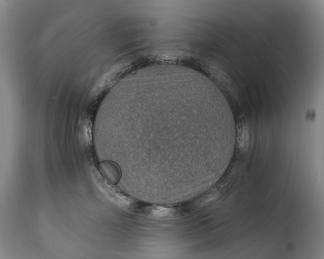 X0000115020718200911091442