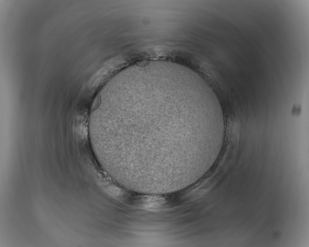 X0000115020719200911091442